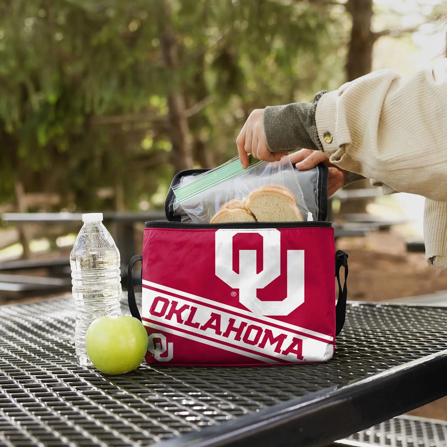 FOCO NFL Big Logo Stripe 6-Pack Cooler