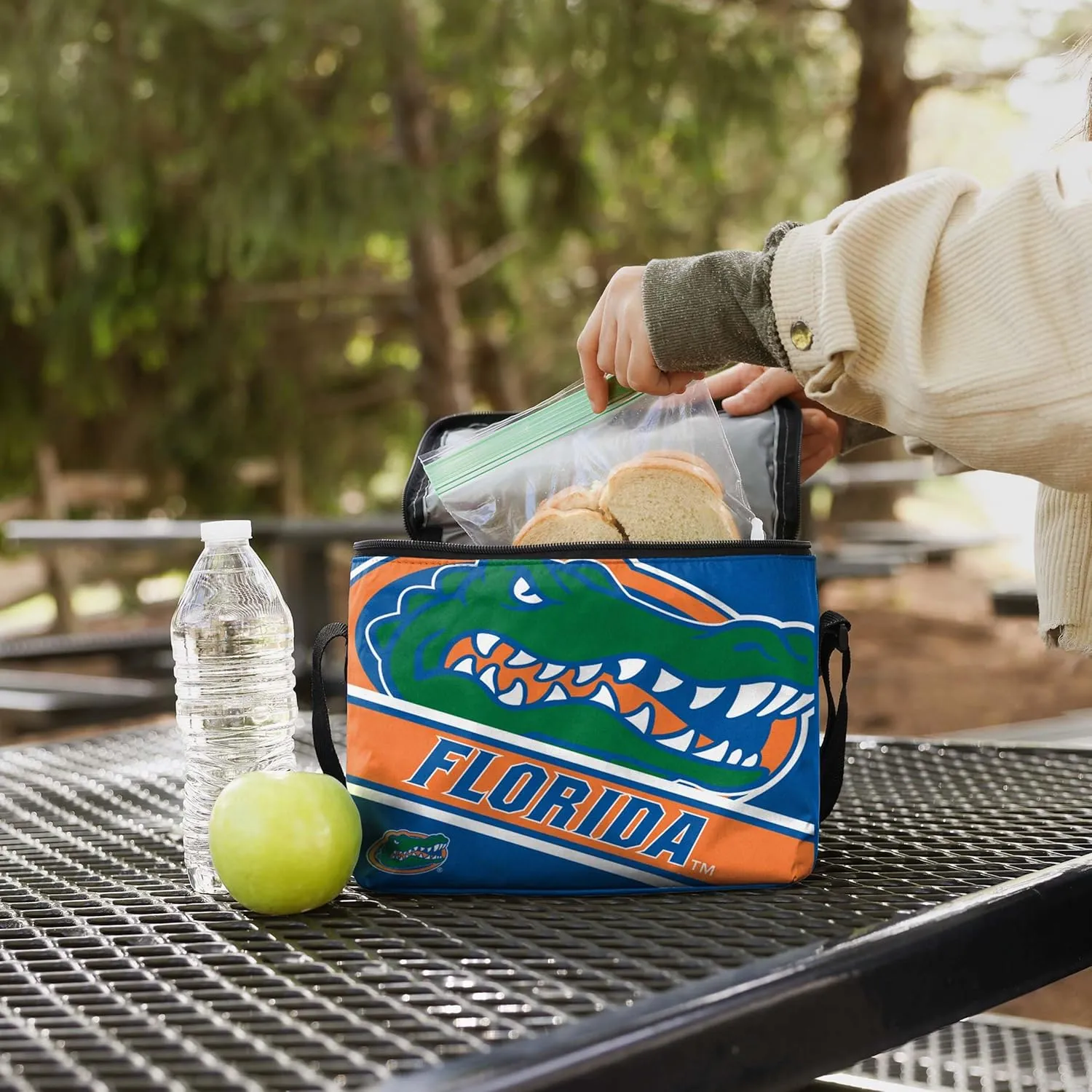 FOCO NFL Big Logo Stripe 6-Pack Cooler