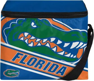 FOCO NFL Big Logo Stripe 6-Pack Cooler