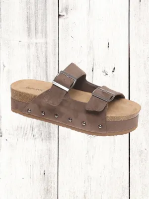 Outwoods Trend-1 Platform