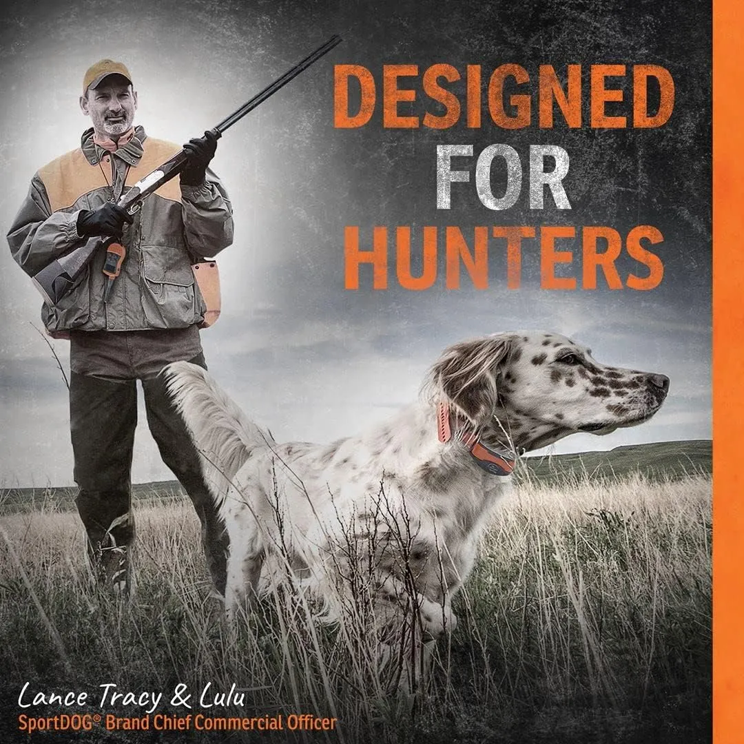 SportDOG Brand 3/4 Inch Collar Straps - Waterproof and Rustproof - Tighlty Spaced Holes for Proper Fit - Reflective Orange